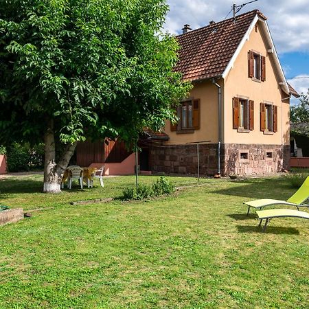 La Maison De Vacances De Colmar Et Son Jardin Exteriör bild