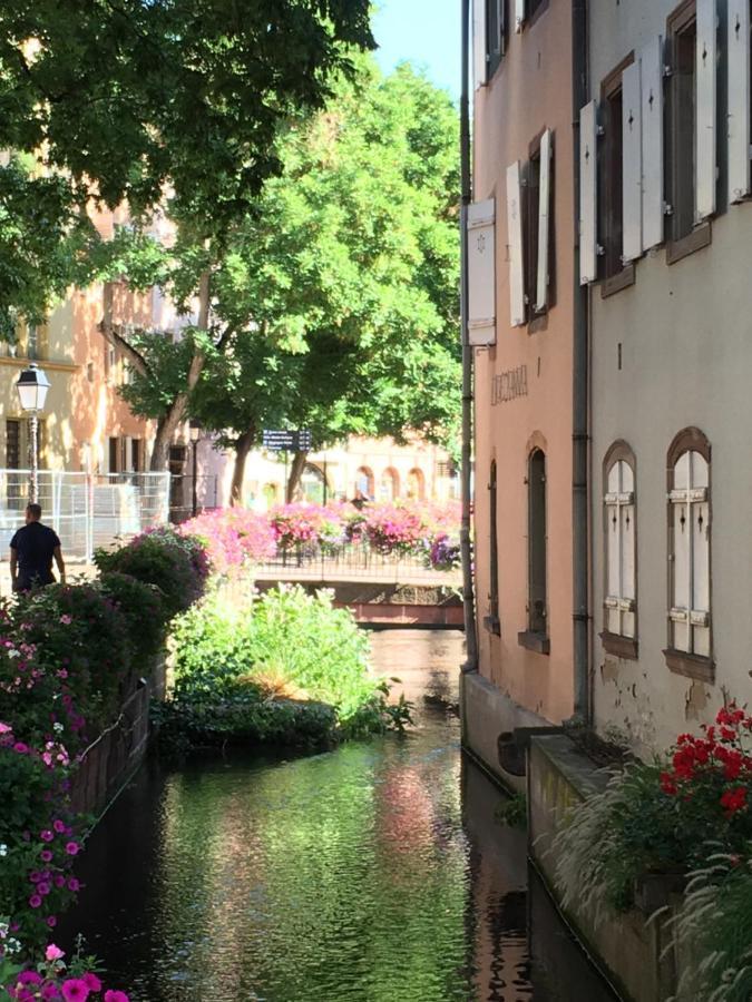 La Maison De Vacances De Colmar Et Son Jardin Exteriör bild
