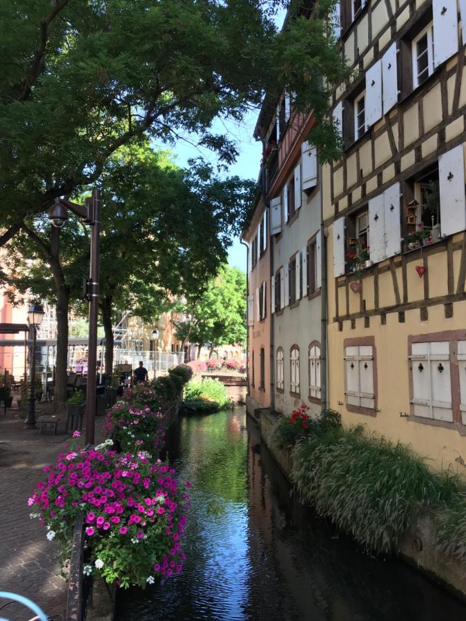 La Maison De Vacances De Colmar Et Son Jardin Exteriör bild