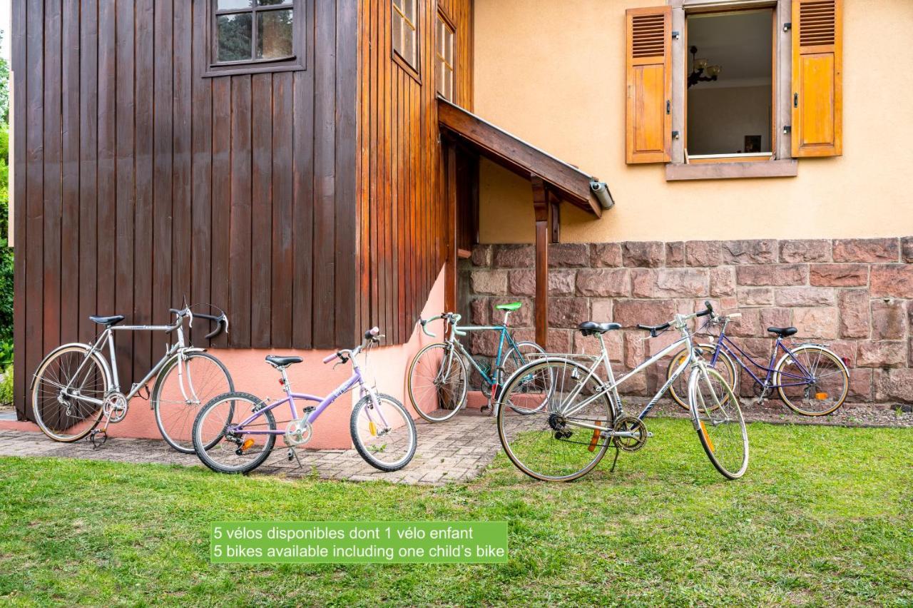 La Maison De Vacances De Colmar Et Son Jardin Exteriör bild